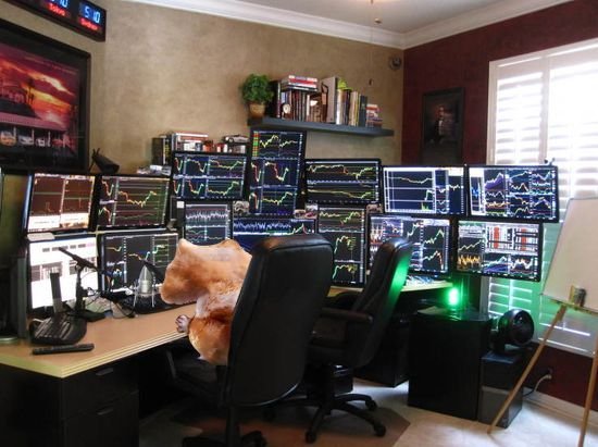 Nom nom is managing his $150 portfolio to buy more snacks! $nomnom