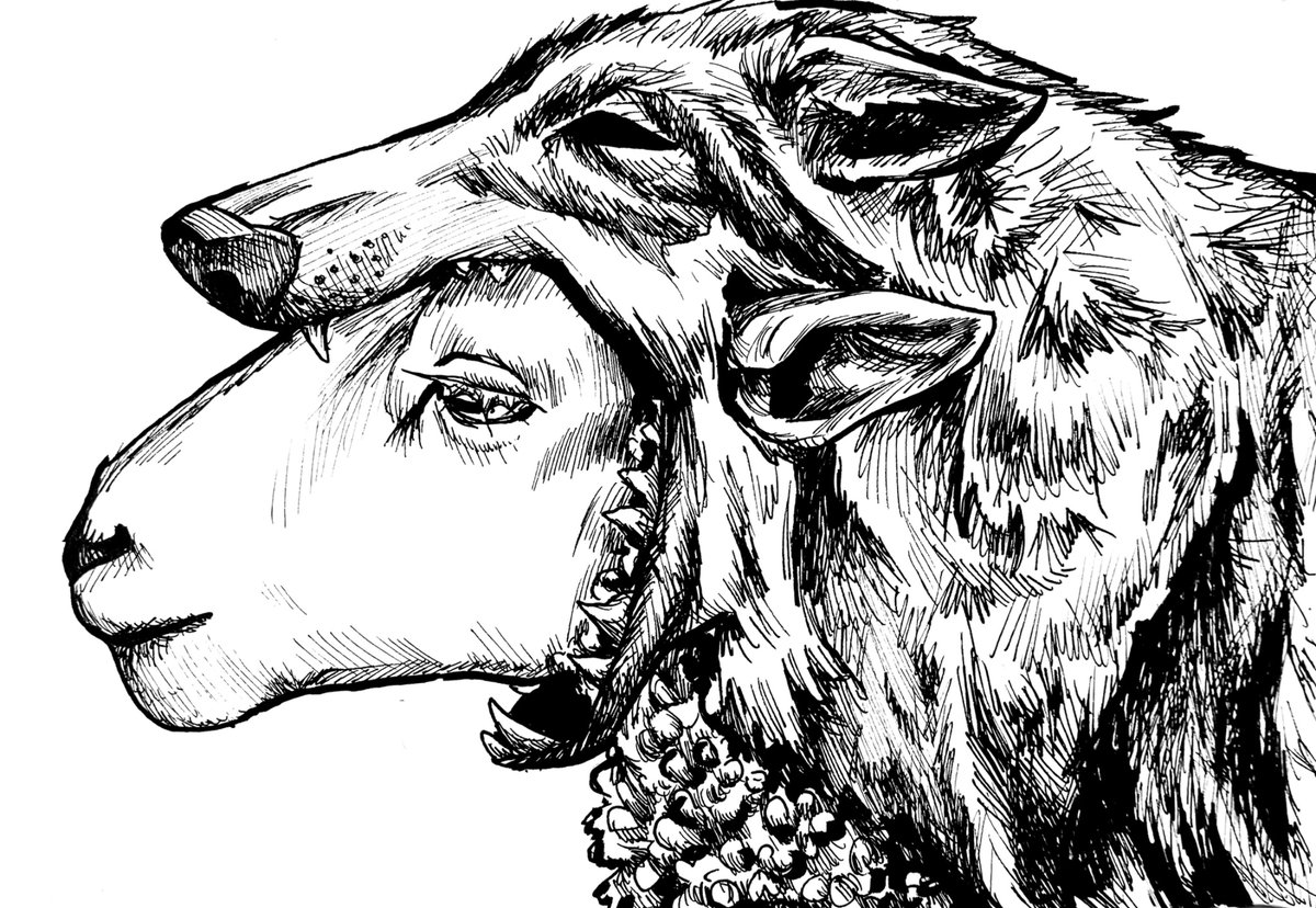 sheep in wolfs clothing
