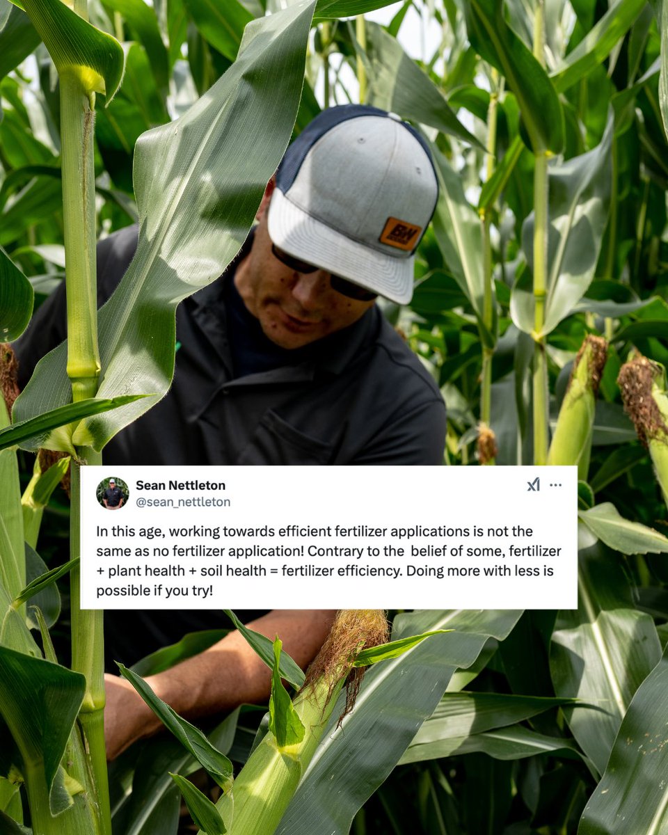 BW Fusion tweet media