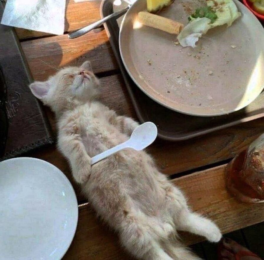 tummy full