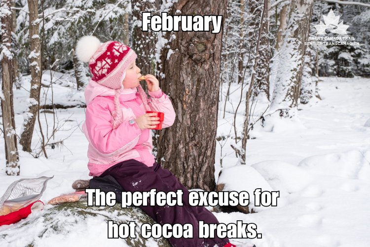 TCTrail's tweet photo. Nothing beats a winter adventure on the @TCTrail followed by a warm cup of cocoa! ☕❄️ Embrace the chill, explore a trail section near you and let winter work its magic.
#Blahs2Ahhhs25 #TrailAdventures #TransCanadaTrail #WinterWonders #OurTrail #OurStory #MadeInCanada https://t.co/PQ4UgsWqHq