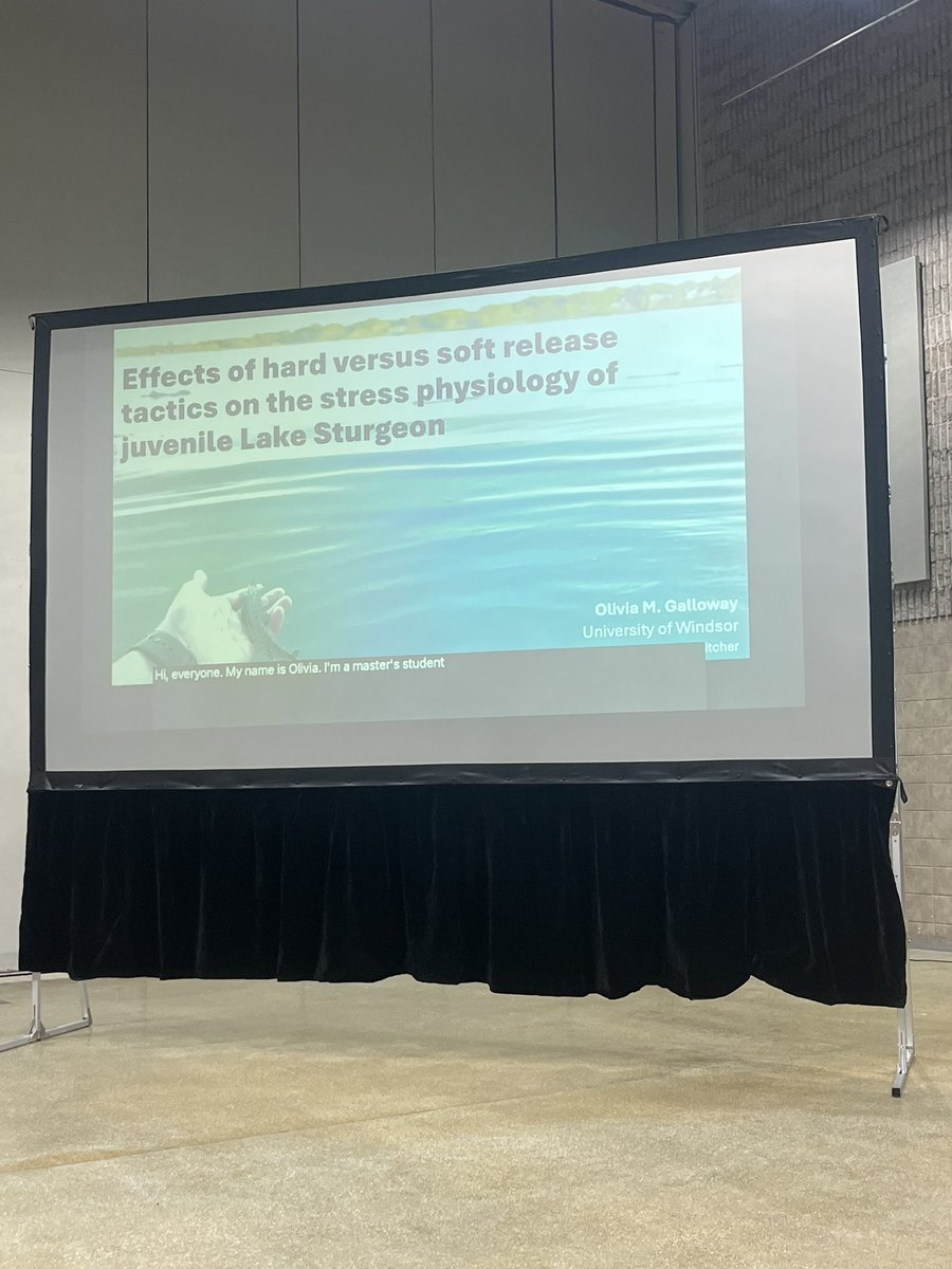 Trevor E. Pitcher (@pitcherlab) on Twitter photo Our very own <a href="/iBioUWindsor/">UWindsor Integrative Biology</a> <a href="/olivia_mayy8/">Olivia M. Galloway</a> (co-advised with <a href="/C_Madliger/">Christine Madliger</a> ) presented her research regarding transport stress at the <a href="/scas_scsa/">Society of Canadian Aquatic Sciences</a> conference today in the Freshwater Biodiversity session Our very own <a href="/iBioUWindsor/">UWindsor Integrative Biology</a> <a href="/olivia_mayy8/">Olivia M. Galloway</a> (co-advised with <a href="/C_Madliger/">Christine Madliger</a> ) presented her research regarding transport stress at the <a href="/scas_scsa/">Society of Canadian Aquatic Sciences</a> conference today in the Freshwater Biodiversity session