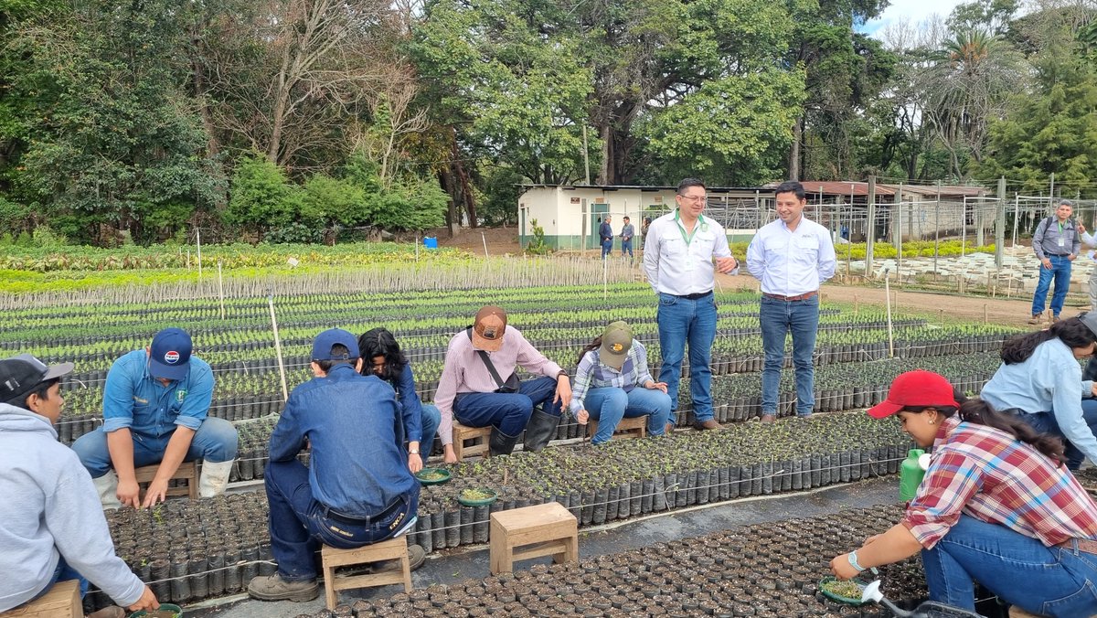 enca_gt's tweet image. 🌱🤝 Fortaleciendo alianzas para el desarrollo forestal 🌳🌿
#ENCA #Agroprogreso #AlianzaEstratégica #InnovaciónForestal #EducaciónForestal