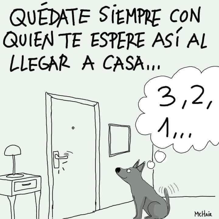 AlmasDeLaCalle's tweet photo. Quédate con quien te espera,
con quien no pregunta si llegas tarde,
porque siempre, sin falta,
te cuenta los pasos
uno, dos, tres,
mientras la puerta se abre.
Con quien el amor no se mide
en horas o gestos,
sólo en esperas que son eternas,
pero siempre tienen un final feliz🐾🐾🙏🏻 https://t.co/aBiy9QK6pN