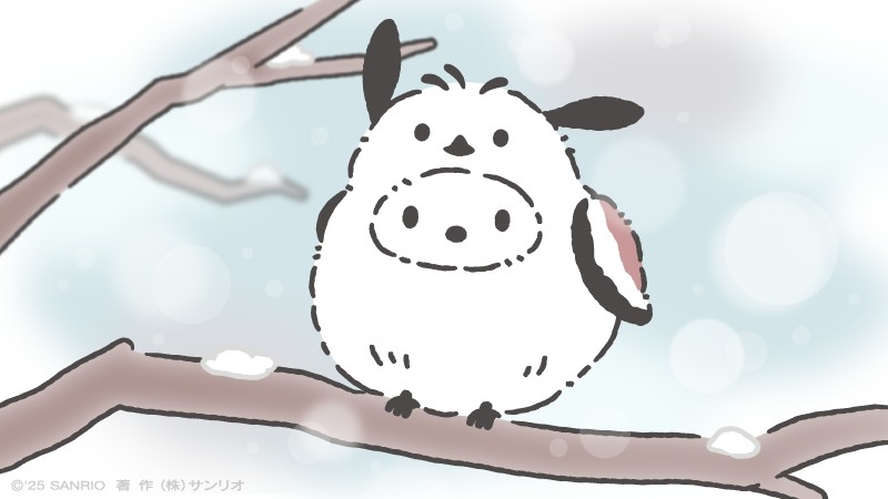 Post by ぼく、シマエナガ。 on X: ズッ友だよ