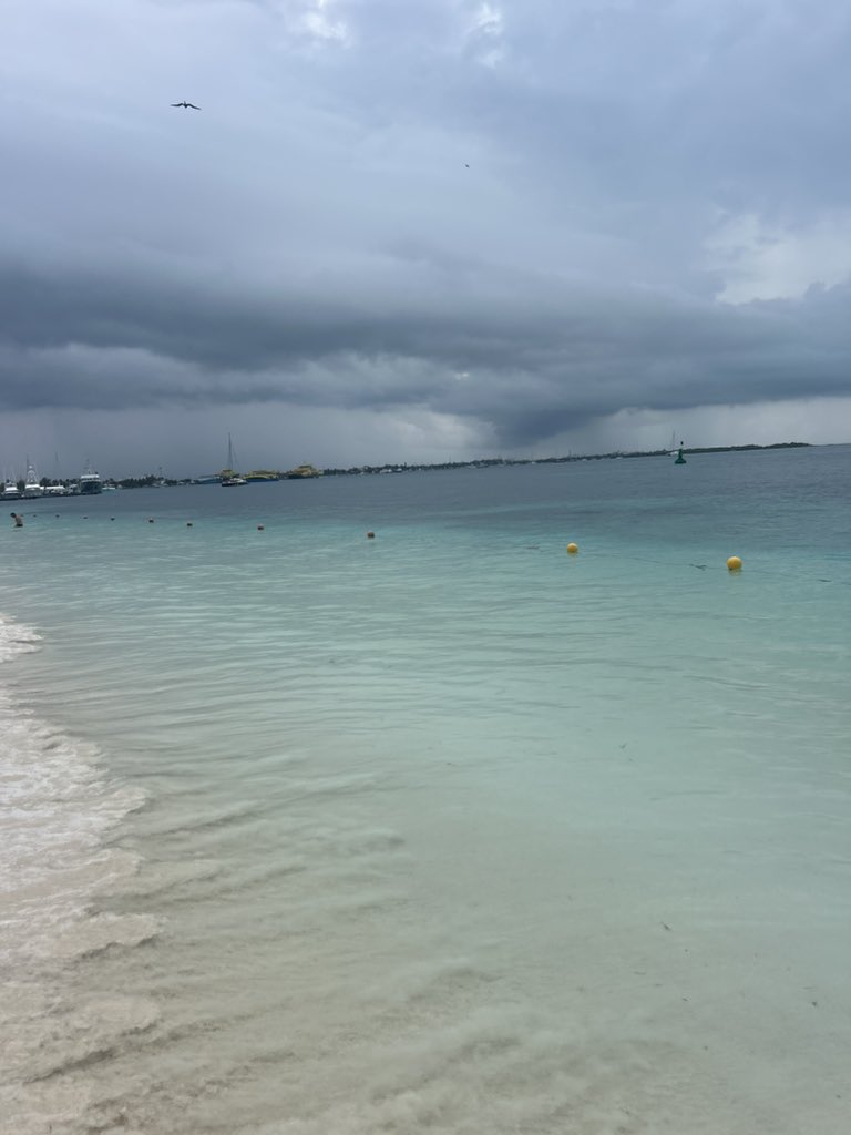 Rodney Knuppel tweet media