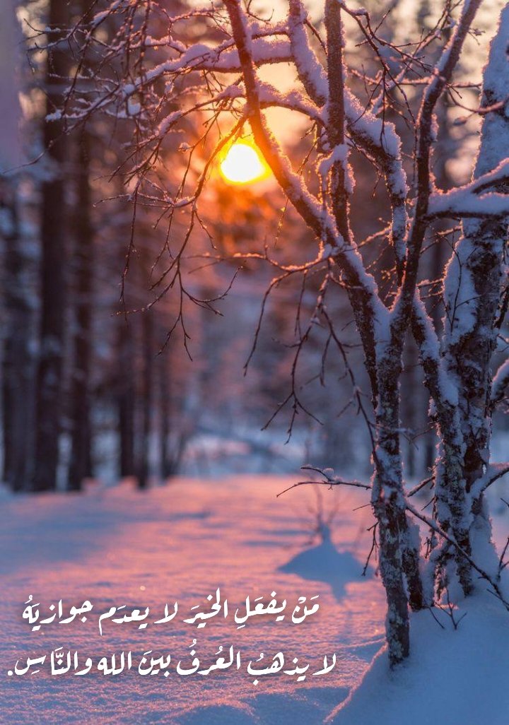 أبو عبيدة (@hm1da1) on Twitter photo 