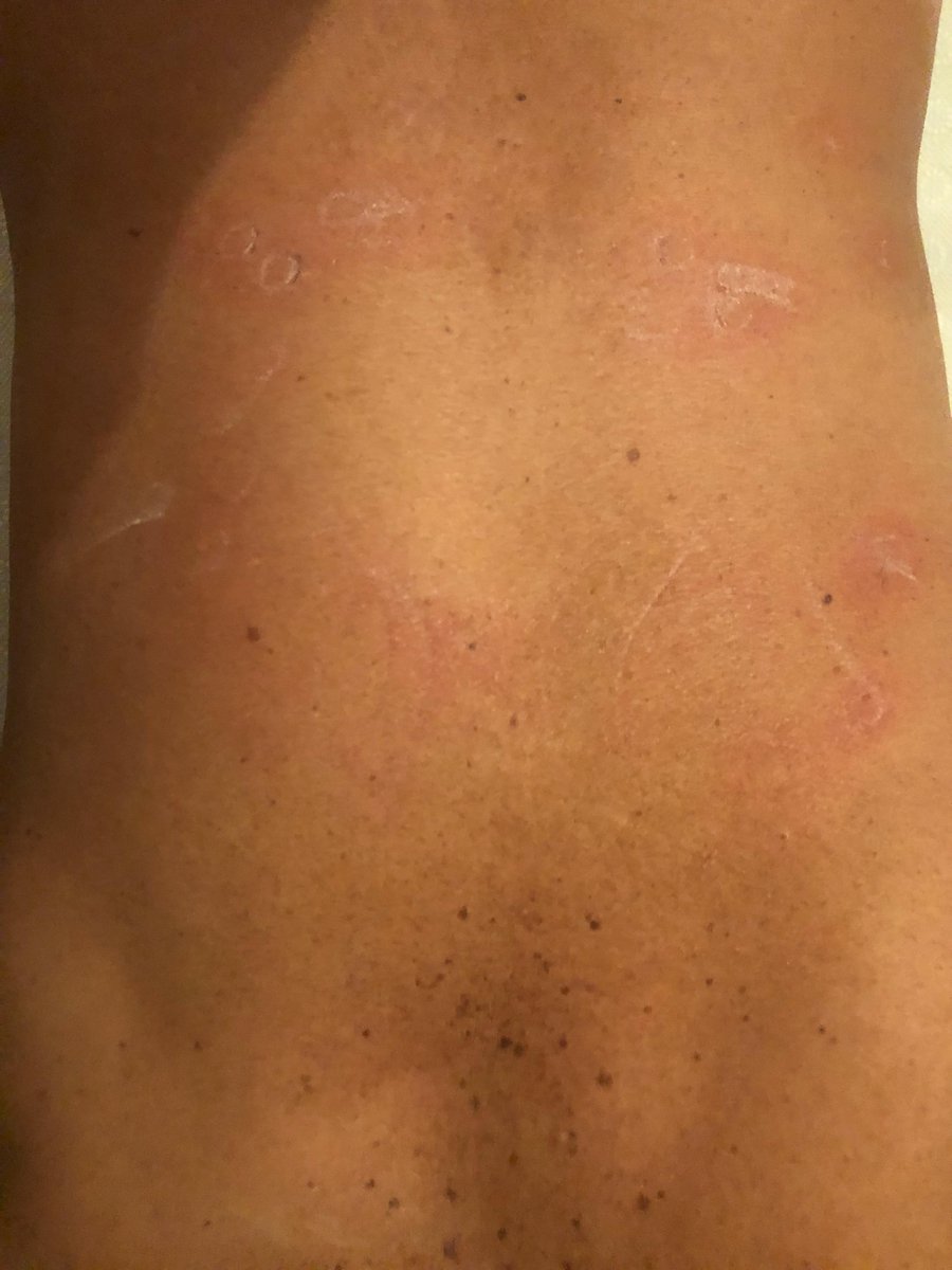 sen sevilmeyi değil bugün ayaklarımın altında sikilmeyi hakediyorsun,hadsiz köpekkk