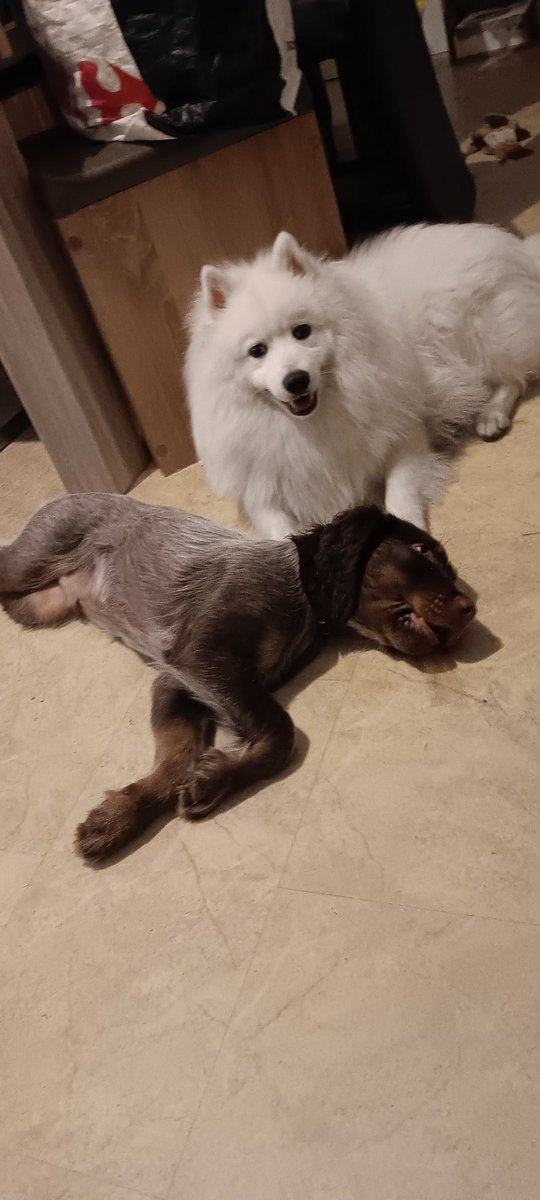 ❤️❤️❤️❤️