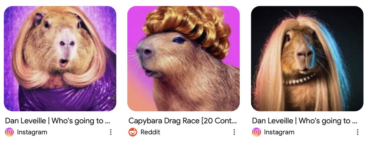 I Googled “capybara drag_to” and the results caught me by surprise.