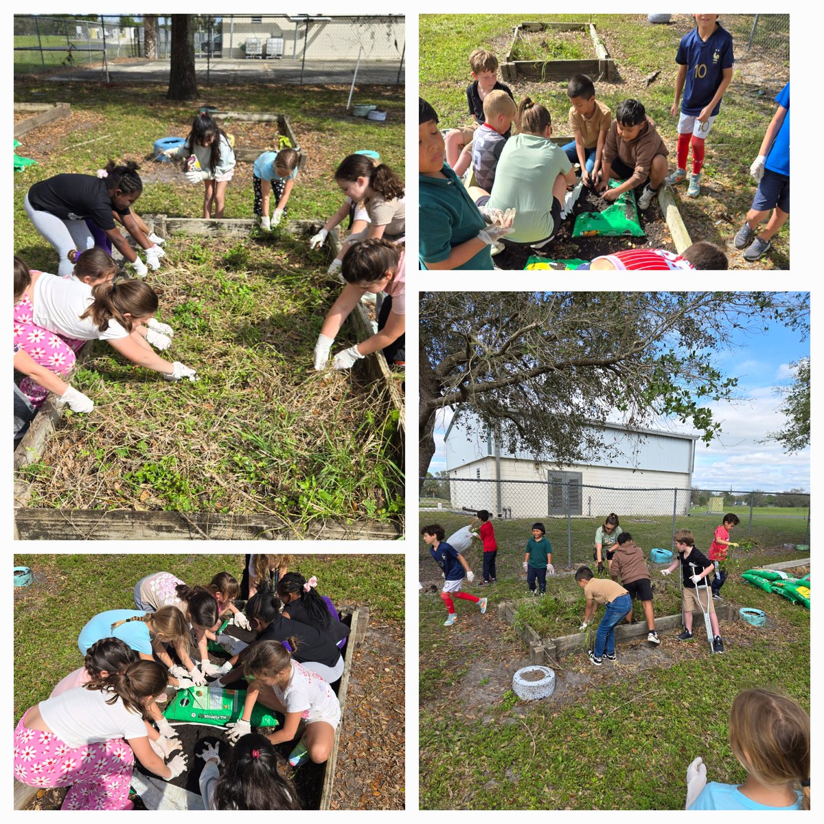 Smiles and Soil!!! We broke ground on our garden today. A special thank you to PTO and <a href="/megkmphillips/">Megan Phillips</a> for helping. We cannot wait to grow our vegetables. <a href="/SPEHAWKSNAPLES/">SPEHAWKS</a>