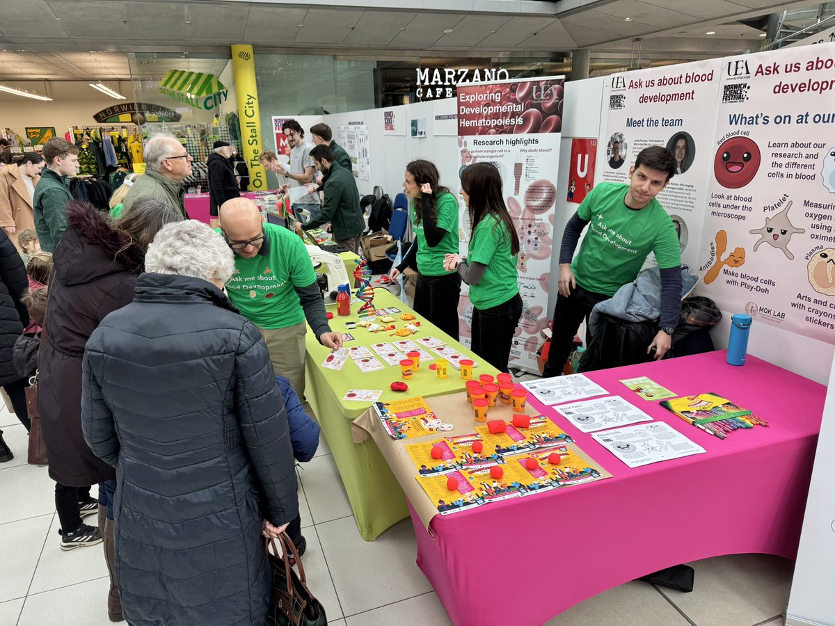 Geoff Mok (@gifaymok) on Twitter photo Great day at the <a href="/NorwichSciFest/">Norwich Science Festival</a> this week where we shared our research about blood development. Couldn’t have done it without my amazing lab - <a href="/lydia_pouncey/">lydia</a> , <a href="/A_Nik07/">ANik07</a> , Lauren Jay - and <a href="/JamesMcColl32/">James McColl</a>
<a href="/UEAResearch/">UEA Research</a> @biouea <a href="/TheForumNorwich/">The Forum Norwich</a> #norwichscifest Great day at the <a href="/NorwichSciFest/">Norwich Science Festival</a> this week where we shared our research about blood development. Couldn’t have done it without my amazing lab - <a href="/lydia_pouncey/">lydia</a> , <a href="/A_Nik07/">ANik07</a> , Lauren Jay - and <a href="/JamesMcColl32/">James McColl</a>
<a href="/UEAResearch/">UEA Research</a> @biouea <a href="/TheForumNorwich/">The Forum Norwich</a> #norwichscifest
