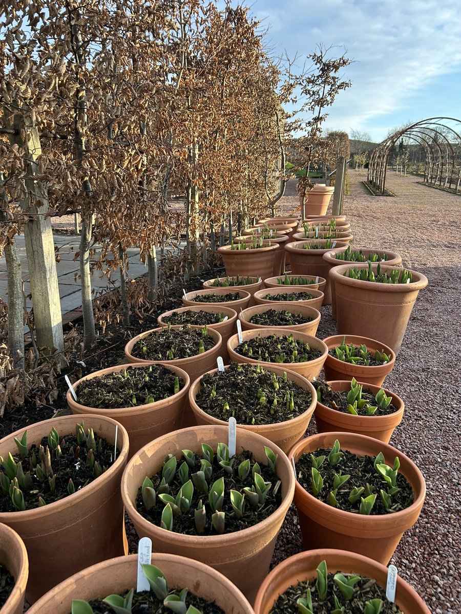 Signs of spring at last!