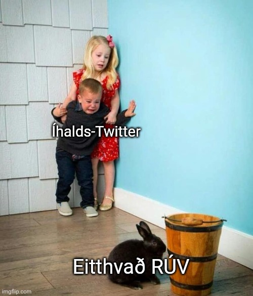 Stefán Pettersson 🌹 (@stefan_pett) on Twitter photo 