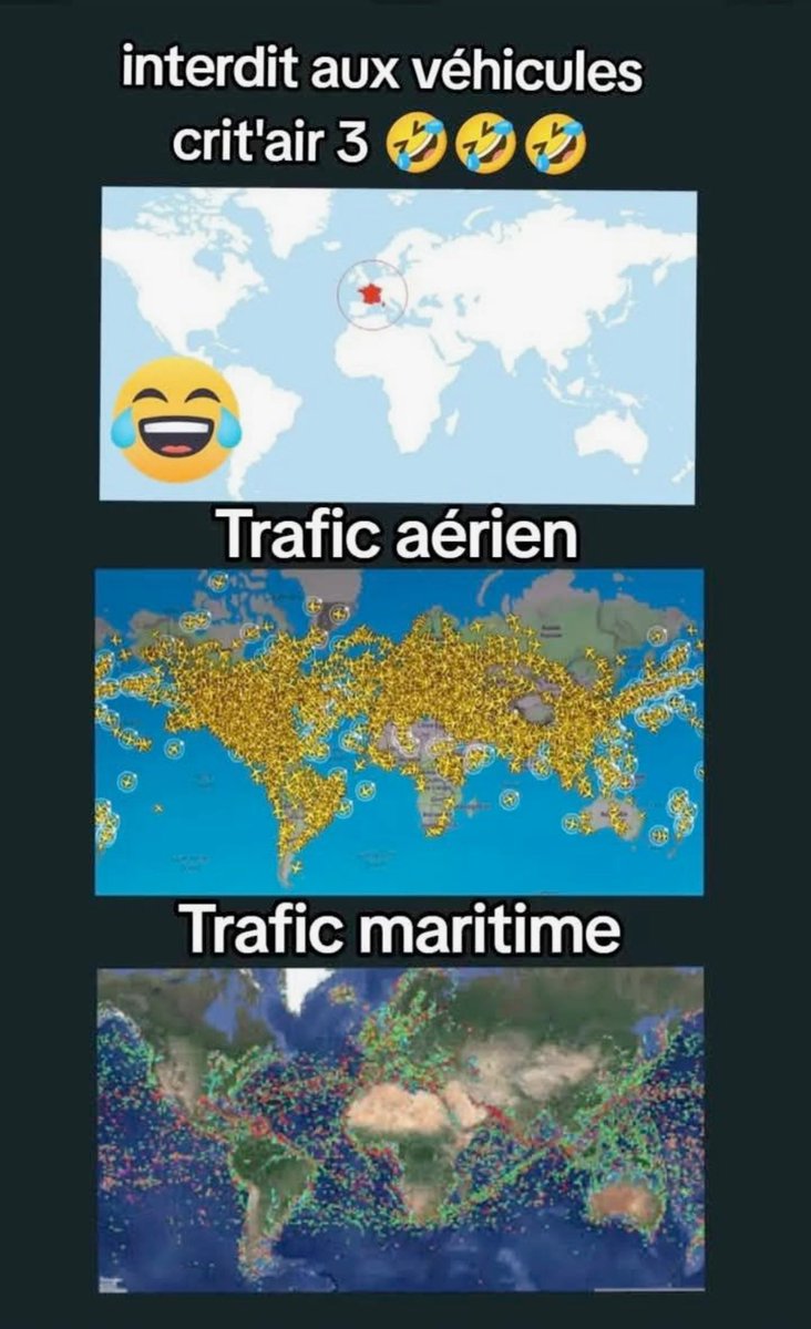 silvano_trotta's tweet photo. Plus stupide tu meurs ! https://t.co/mzJovG2106