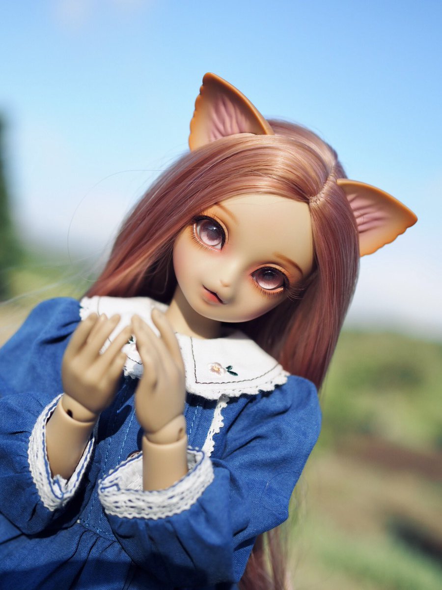 kotorie1218's tweet image. きんようび、がんばろうにゃあ！

#おはドル #luts ｼﾞｬｽﾐｰﾇ
