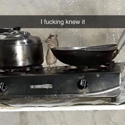 ❗️⚠️❗️ Earth Update ❗️⚠️❗️

- Ratatouille is real.