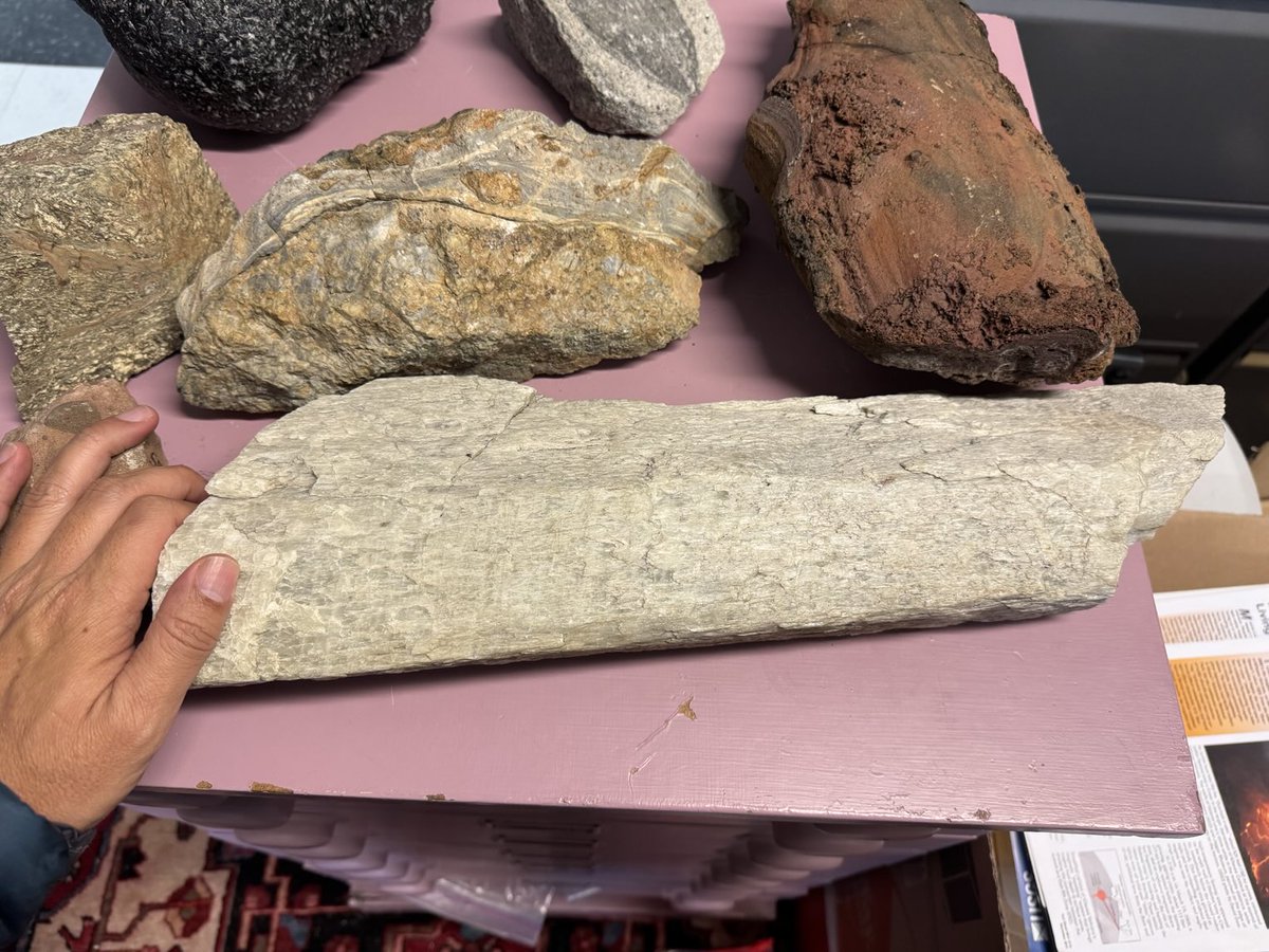 Spodumene, a Lithium pyroxene. One of the key lithium ores.  This is a fragment of one very large crystal.