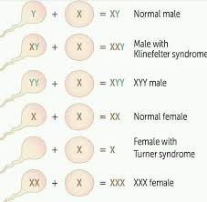 Y'all really need some genetics classes