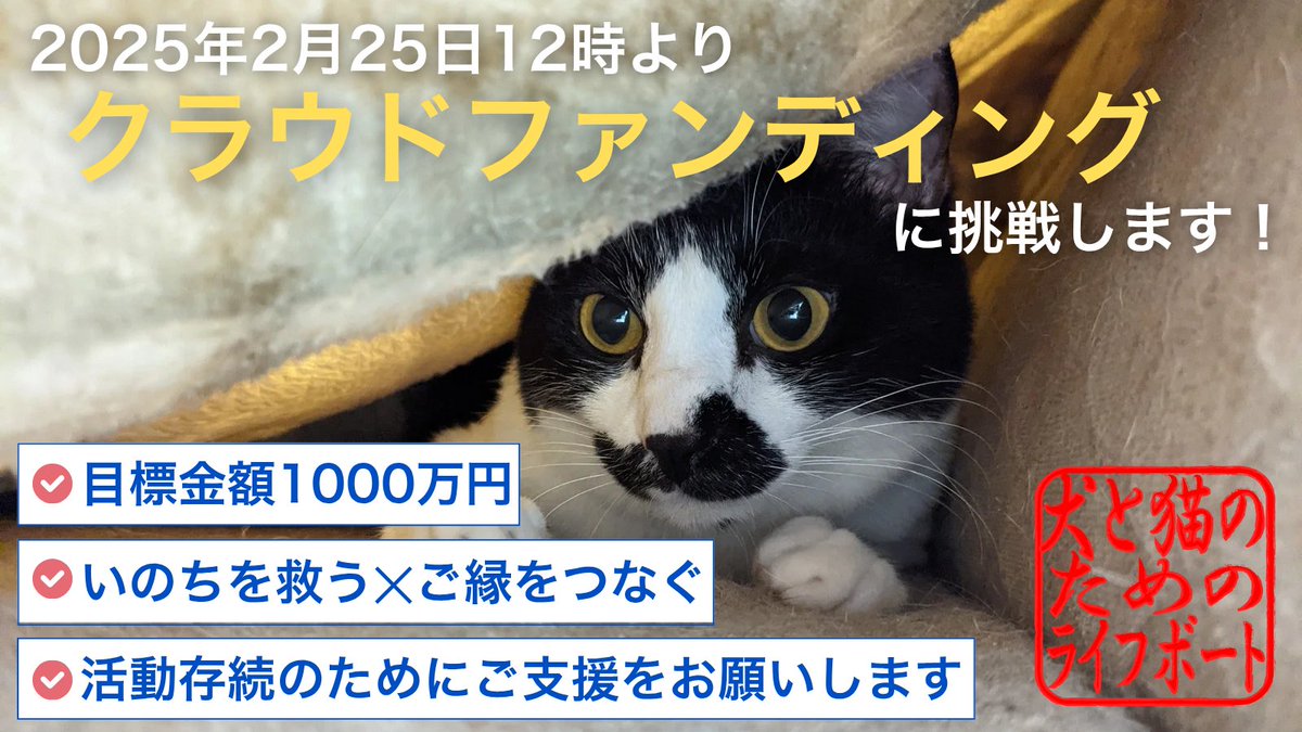lifeboatjapan's tweet photo. ライフボートは2/25（火）からクラウドファンディングに初挑戦いたします。

23年以上に渡って活動し、2万��を超える犬と猫を里親様につないできた当団体ですが、ここ数年の運営状況は厳しく、毎年1000万円を超える赤字が続いています。

大きな理由の一つは譲渡が難しい犬と猫の増加。一頭一頭に大きな手間や医療費がかかり、かつ今後10年以上にわたってお世話をする必要のある子たちです。

これまではとにかく一頭でも多くの子を保護し、一日でも早く���親さんに譲渡することで救命を実現してきました。また譲渡時に飼育費用の一部を里親様にご負担いただくことで活動費用を賄ってきました。しかし譲渡が難しい動物の割合が増えるにつれ、この活動モデルの維持が難しくなってきます。

今回のクラウドファンディングの目標金額は1000万円。
達成できなければ1円も受け取ることができない「All or Nothing」というルールです。

クラファンでは、公開直後の5日間の盛り上がりが目標の達成に大きく影響すると言われています。

何としても成功させますので、2月25日（火）の開始直後のご支援をぜひともお願いいたします。

救える命を取りこぼさないために。ライフボートの活動存続にご支援を
https://t.co/OTTidSpA2q

#クラファン #クラウドファンディング #保護犬 #保護猫 #寄付 #READYFOR