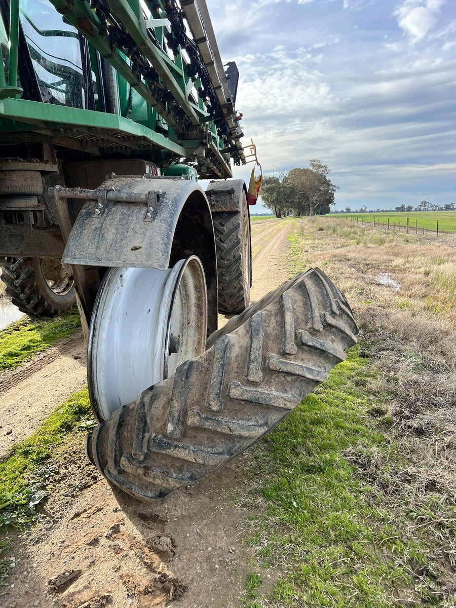 Damien Schneider tweet media