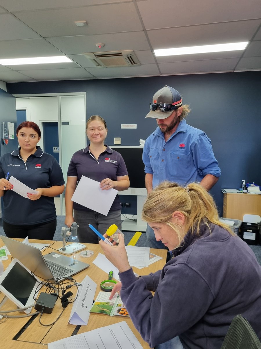 Zorica Duric (@zoricaduric) on Twitter photo 🌟Our Disease and Insect workshop this week in Dubbo was a great success! We had a strong turnout of LLS DPIRD staff and excellent ppt from experts in Ag, Biosecurity, Viticulture, and Citrus. Thanks to everyone involved.🌟
<a href="/s_simpfendorfer/">Steven Simpfendorfer</a> <a href="/NSW_AGRONOMY/">NSW Agronomy</a> <a href="/theGRDC/">GRDC</a> <a href="/GRDCNorth/">GRDC North</a> 🌟Our Disease and Insect workshop this week in Dubbo was a great success! We had a strong turnout of LLS DPIRD staff and excellent ppt from experts in Ag, Biosecurity, Viticulture, and Citrus. Thanks to everyone involved.🌟
<a href="/s_simpfendorfer/">Steven Simpfendorfer</a> <a href="/NSW_AGRONOMY/">NSW Agronomy</a> <a href="/theGRDC/">GRDC</a> <a href="/GRDCNorth/">GRDC North</a>