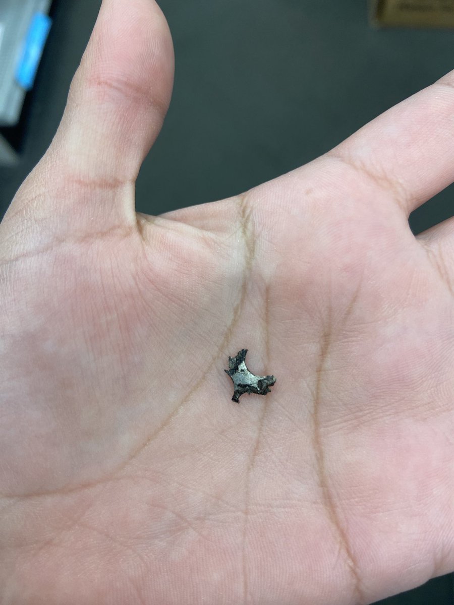 mariemoonpie's tweet photo. What the fuck is this and why was it in my potatoes salad?? @BillMillerBarBQ https://t.co/oXURPqa8Xe