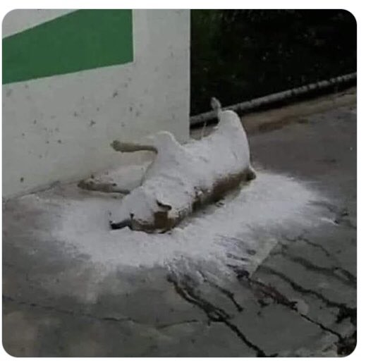 RoninShaolin's tweet photo. Que en México sea noticia la muerte de un plutarco venenoso que dedicó su miserable existencia a destruir reputaciones y empinarse a  jovencitos habla de nuestro bajísimo nivel cultural.
Échenle cal y a lo que sigue.
#DanielBisogno https://t.co/i7CucktD1w