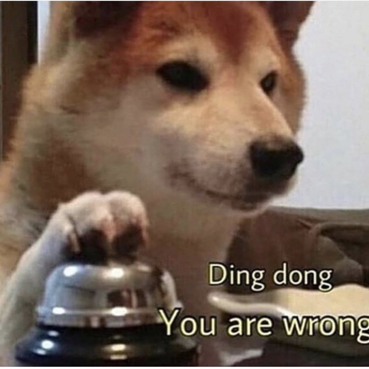 When DOGE team members conduct an audit interview…. <a href="/elonmusk/">Elon Musk</a>