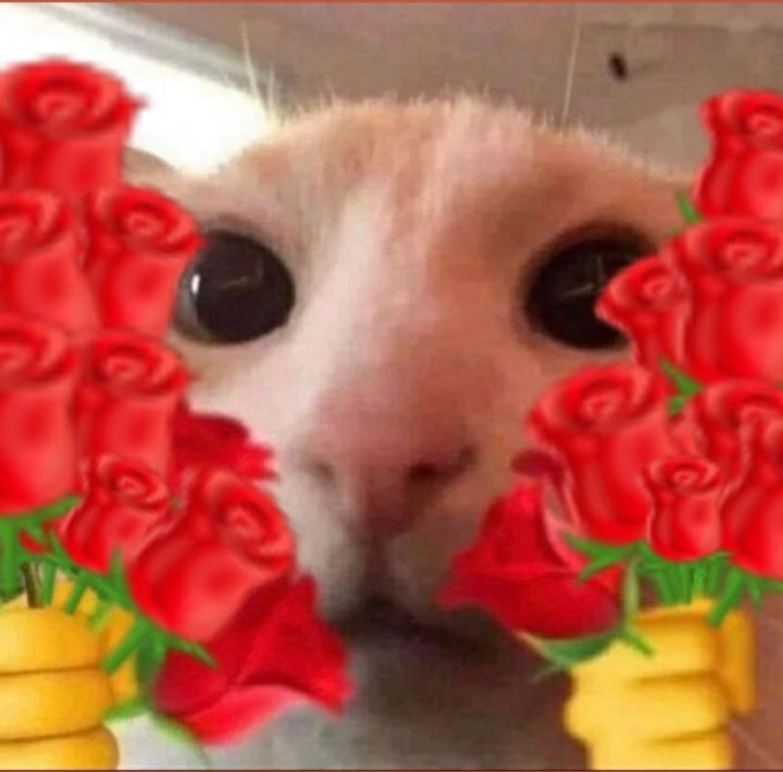 <a href="/parkmvnju/">acil cimol</a> Nih bunga buwat km, klw km mw yah😳