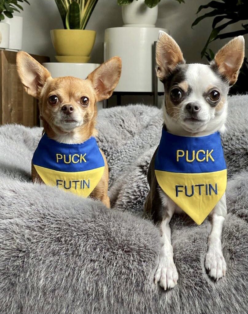 PC2DC's tweet photo. @ZelenskyyUa @EmmanuelMacron #SlavaUkraini 🇺🇦
#StandWithUkraine 🇺🇦 🇺🇲
#StandWithUkraine #EU
#StandAgainstPutin
#RussiaIsATerroristState
#EuropeUnited
#ArmedForcesOfEurope https://t.co/jNjH5jqwsb