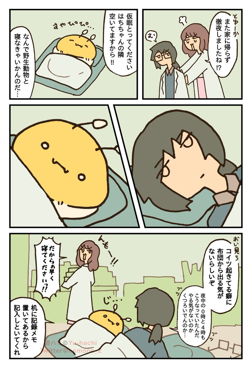 添い寝はち 
