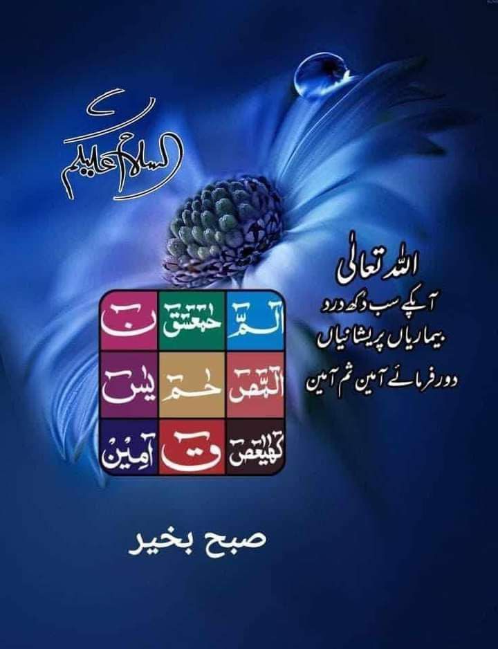السلام عليكم صباح النور زندگی ۔۔❣️
(اے پیغمبرﷺ!) یقین جانو ہم نے تمہیں کوثر عطا کردی ہے،
لہٰذا تم اپنے پروردگار (کی خوشنودی) کے لئے نماز پڑھو، اور قربانی کرو،
یقین جانو تمہارا دُشمن ہی وہ ہے جس کی جڑ کٹی ہوئی ہے۔
 ﴿سورۃ الکوثر﴾