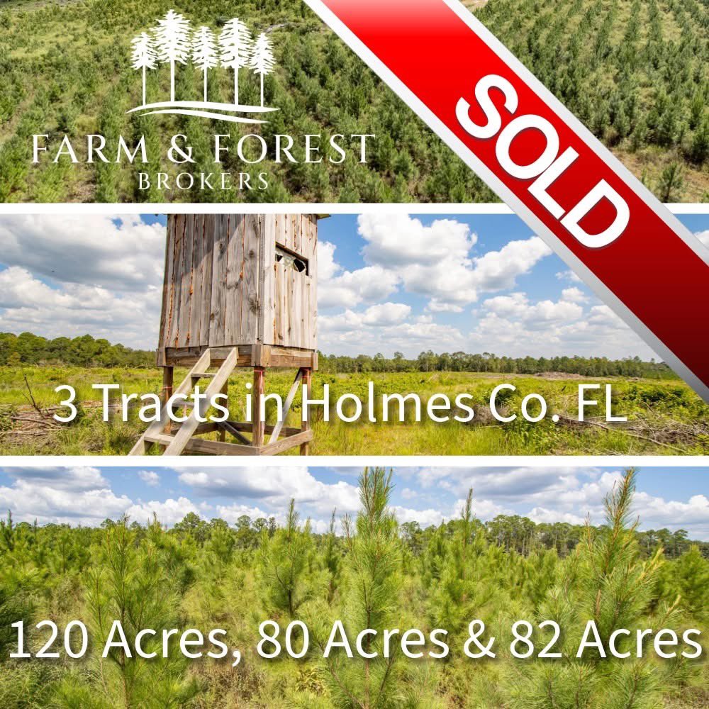 Daniel Hautamaki (@hautamakiland) on Twitter photo 