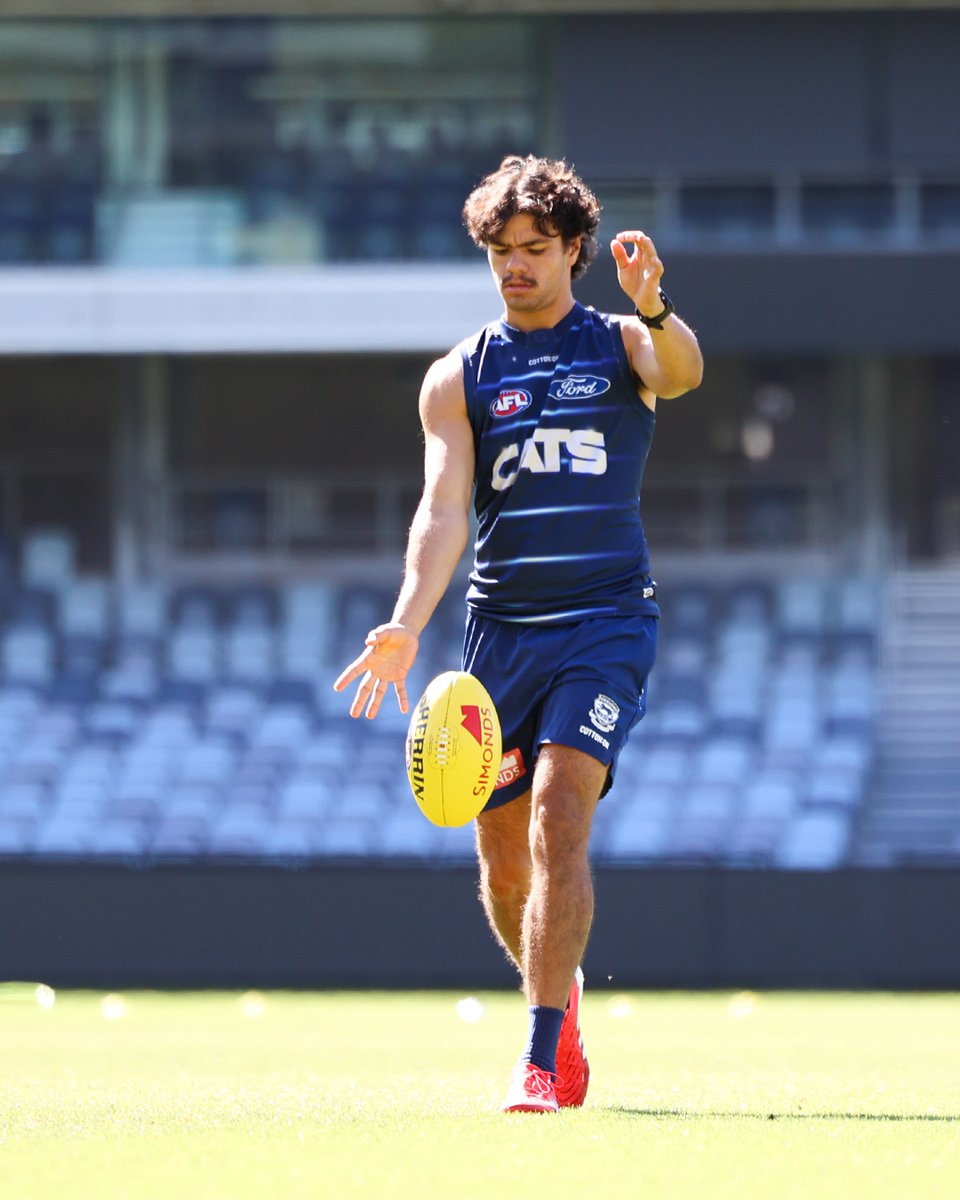Geelong Cats tweet media
