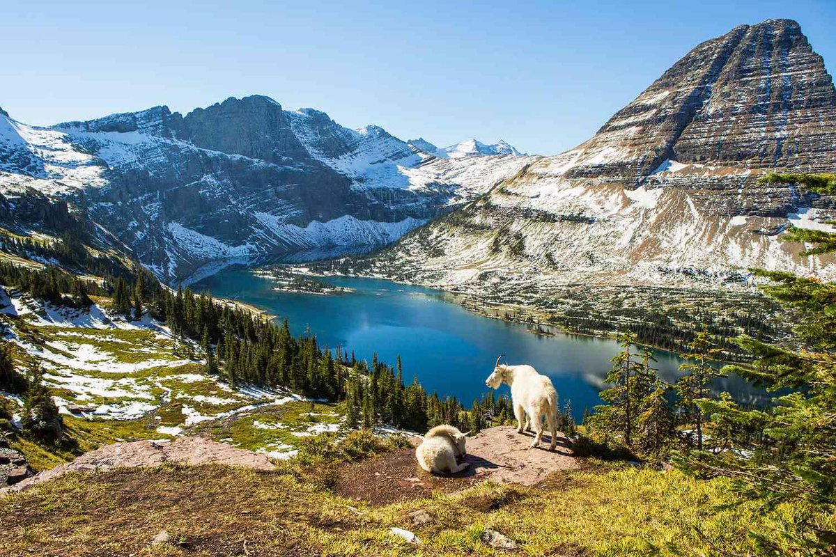 ILoveWhitefish's tweet photo. Experience the Magic of Whitefish, Montana! 🏔️✨
Whether you’re hitting the slopes at Whitefish Mountain Resort, exploring the beauty of Glacier National Park, or relaxing by the serene Whitefish Lake.
#ExploreWhitefish #MountainEscape #AdventureAwaits #BookDirect #Whitefish https://t.co/qMz014FSbr