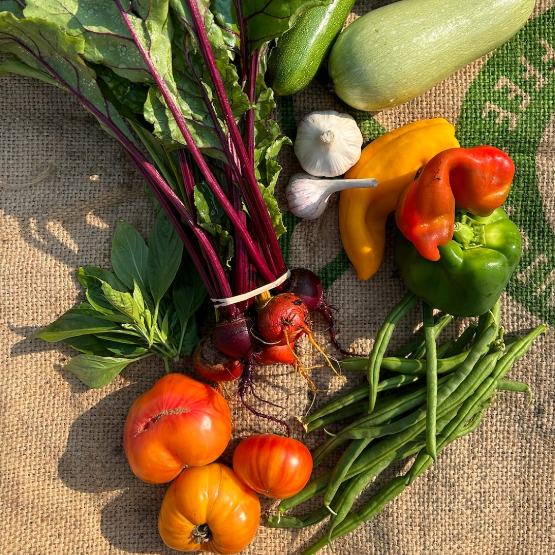 Our other feature today for #CSAWeek is Sole Food Street Farms 🧄

Read Sole Food Street Farms' full feature here: farmfolkcityfolk.ca/2025/02/csa-we…