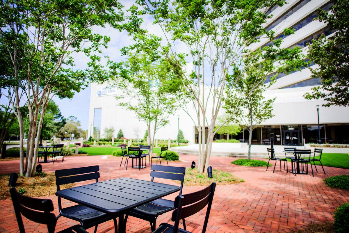 From rooftop green spaces to attractive courtyards, the emerging trend of outdoor workspaces is a great opportunity for employees and property owners alike … jerrypatedesign.com/the-emerging-t…
#workspaceinnovation #corporateinnovation #landscapearchitecturetrends #jerrypatedesign