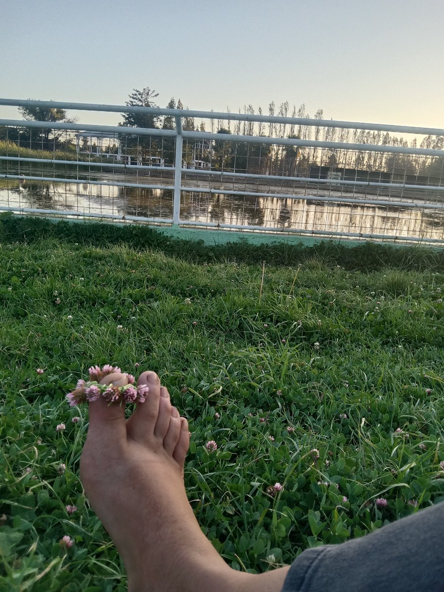 MissGreenChile's tweet photo. De regreso en Rancagua 💚
Piesitos con su corona de flores 
#piesitos 
#footfetısh 
#finger 
#flowercrown https://t.co/z5EnjCY91m