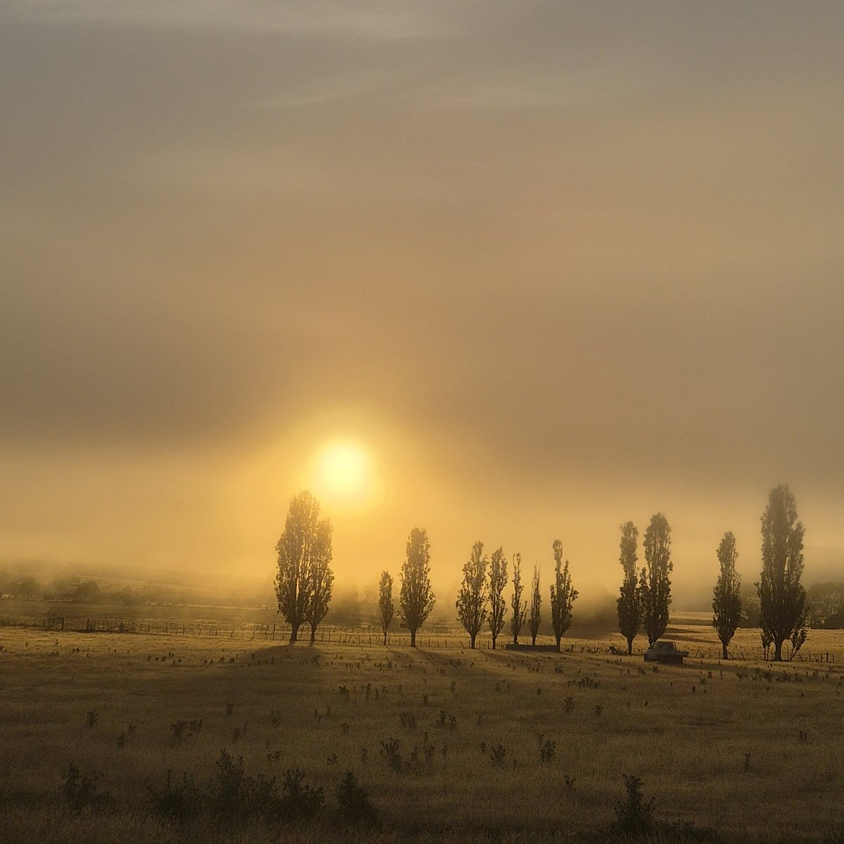 Good morning from Tasmania