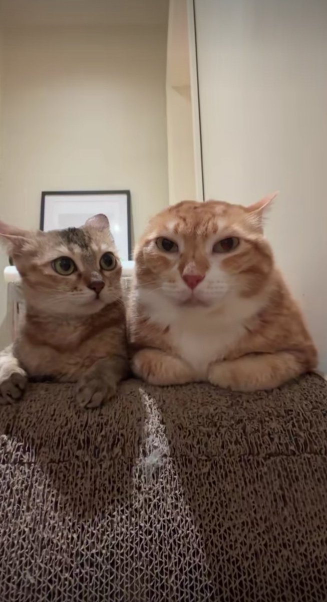 Zhoomker tweet media