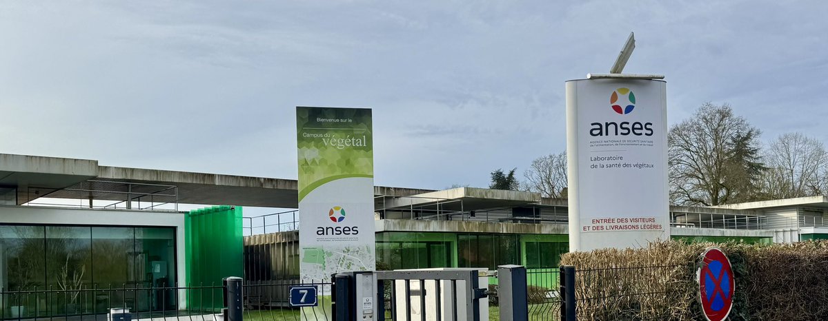 1️⃣ Almost a month into my stay at @ANSES_fr, working in their reference laboratories for bacteria, viruses, and GMOs. The #team has been #fantastic, and their facilities and way of working are truly exemplary. #Grateful to be part of this experience!