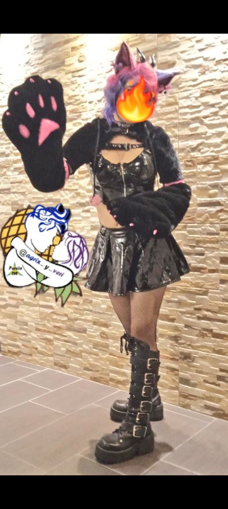 Feliz dia del gato!!
Les gustan los gatos???