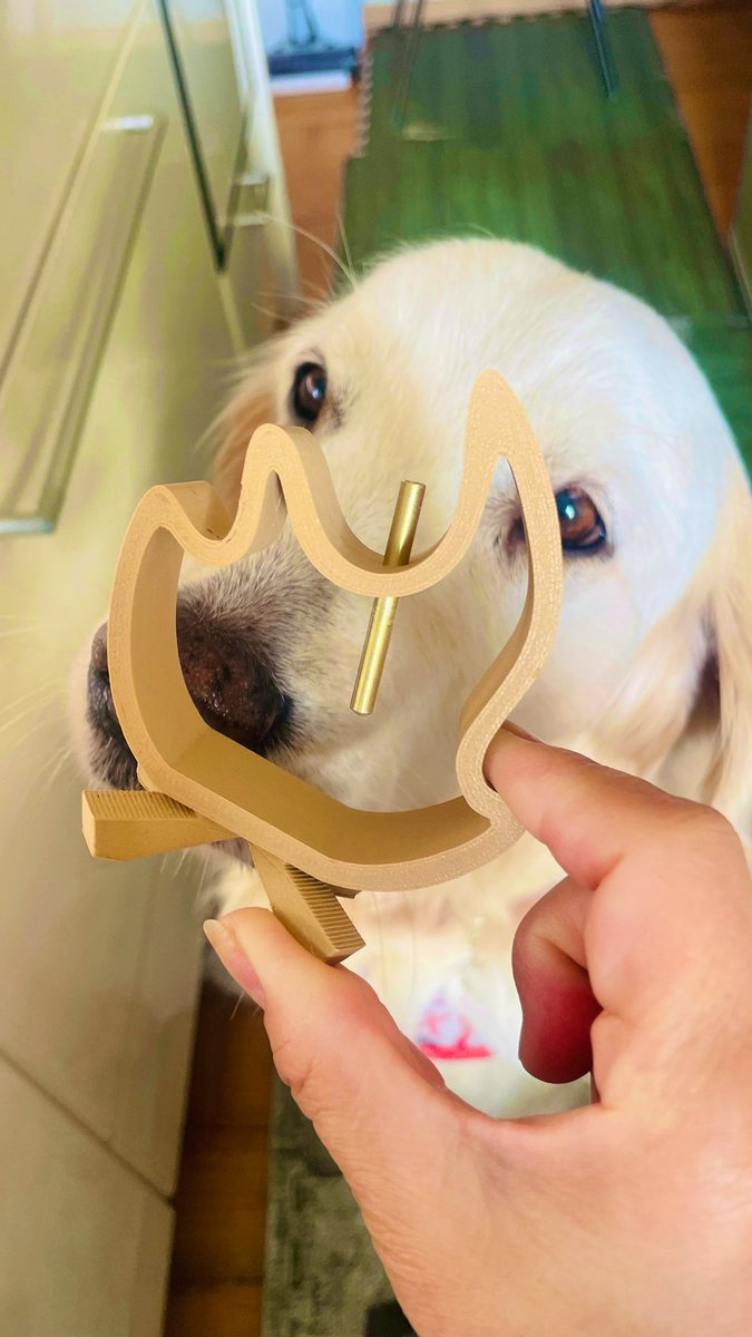 mimo77393391's tweet photo. おは🐶ワンでっし( • ̀ω•́ )ゞ
カワユイのが届いた♡
お香、大好きなんよ
キャンプで使うの
たのちみ♪( ◜ω◝و(و "
本日も皆様、お気をつけて
(*´︶`*)ノ
#danlabo
#thankyou
#レトリバーのいる暮らし
#大型犬のいる暮らし https://t.co/J6iD2zN5bm