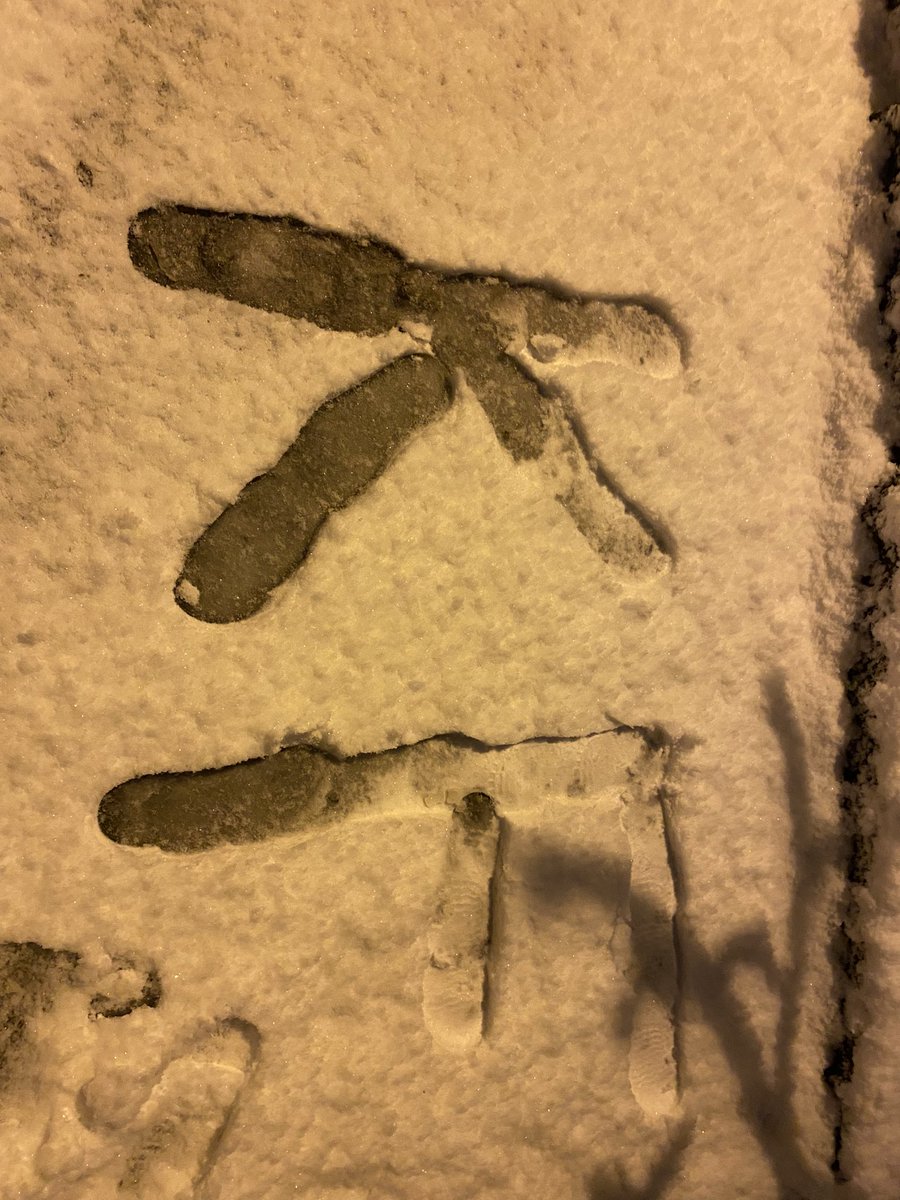_KEBRA's tweet photo. Evimizin önü❄︎ @Furkan_yelek https://t.co/G2pSpT0wee