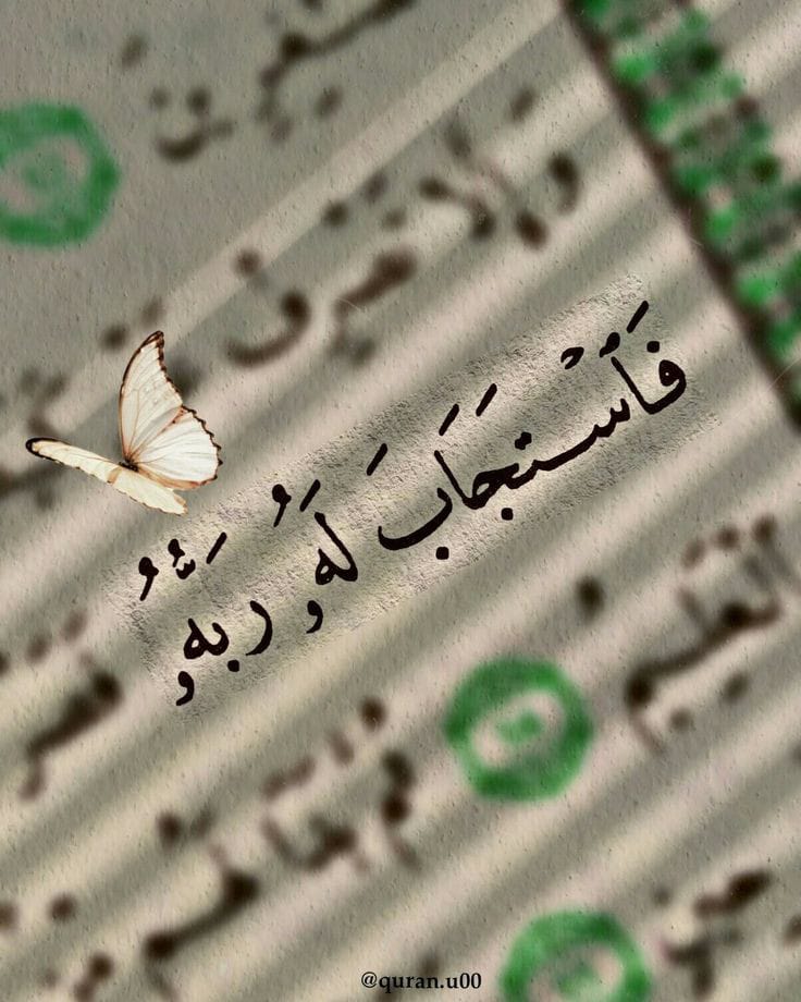 Atmayn_'s tweet image. يا الله ❤️❤️❤️