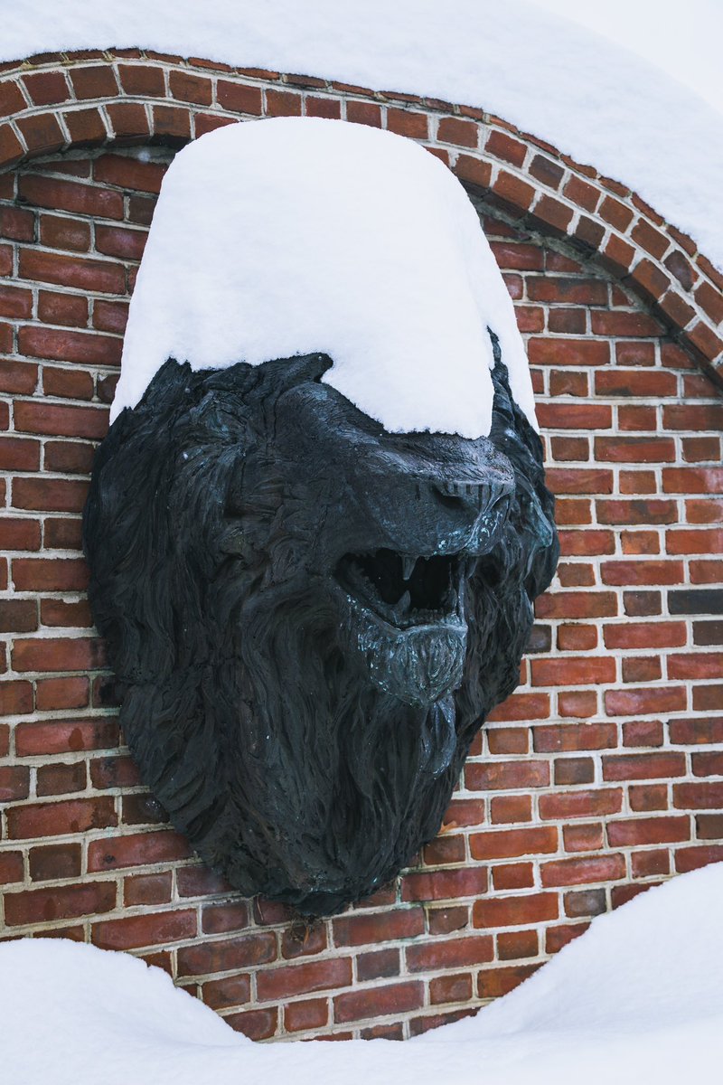 A little snow wasn’t going to stop an ODU Game Day!  🏀❄️