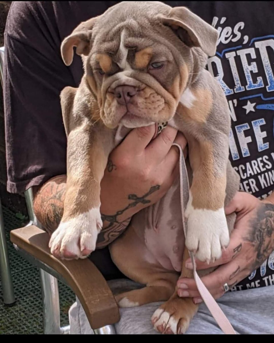 Being fully dog-friendly means we get lots of cuddles!
Your 4-legged friends are welcome inside, outside, &amp; even on our self-drive boats.
With dog treats on hand, &amp; doggy ice cream available, they'll have as nice a visit as you.

#doglover #dog #dogswelcome