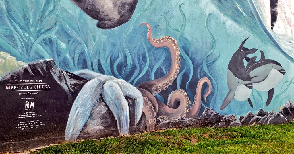 Ceph street art sighting! Spotted these arms on the side of a building in Ushuaia, Argentina, while out and about with <a href="/ThomLinley/">Dr Thom</a> as we prep to take #ProjectESCA to the Antarctic Peninsula next week