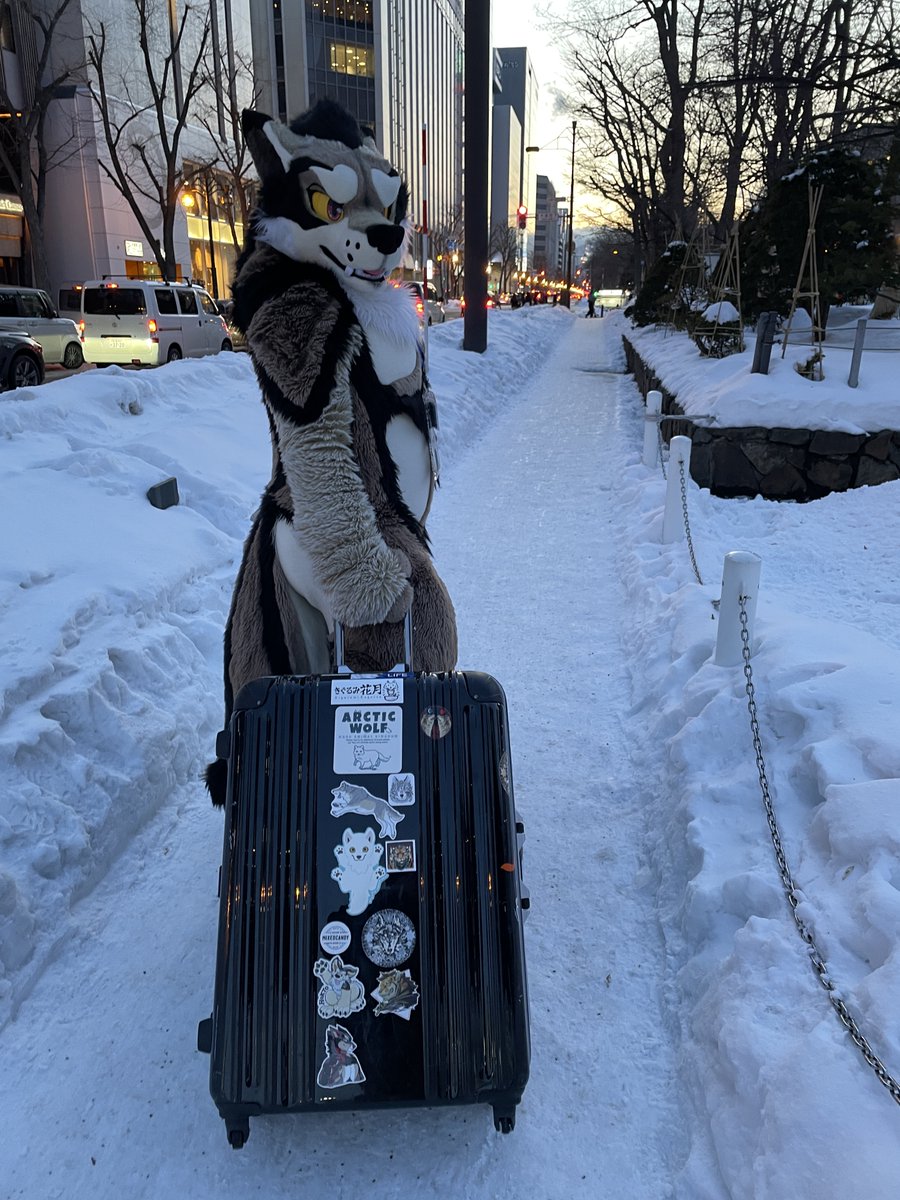 🐺狼額🐺 tweet media